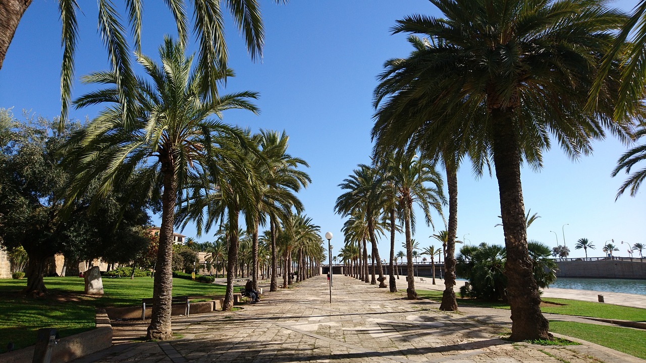 Excursion de 5 jours à Palma de Majorque